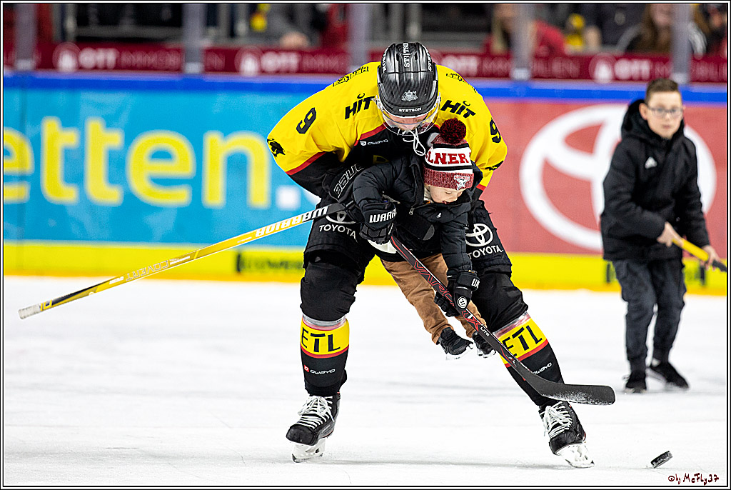 DEL;  Koelner Haie - Straubing Tigers; Koeln, 01.03.2020